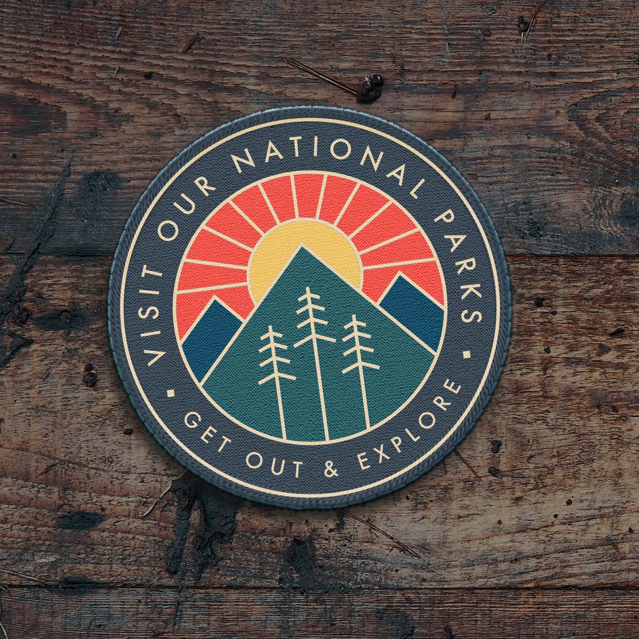 Graphic Design for Visit our National Parks