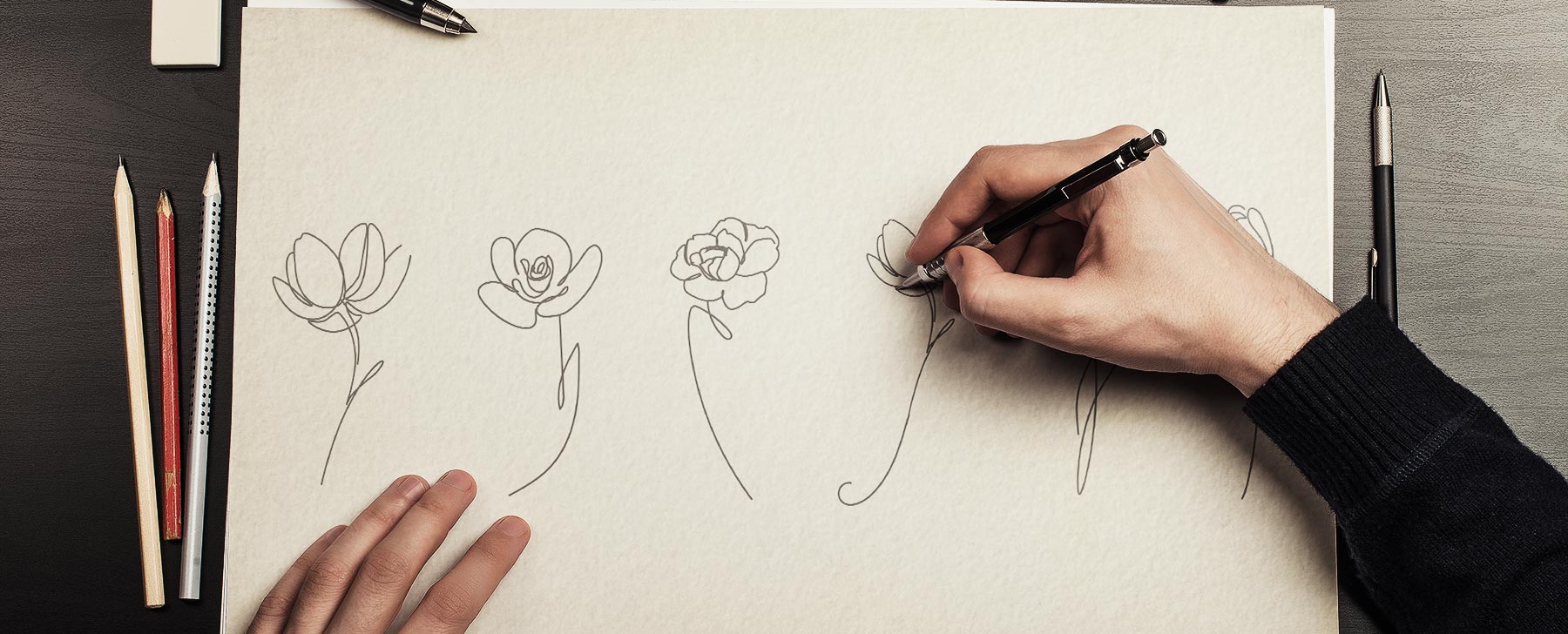 carolina-petals-sketches